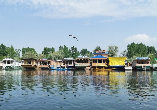 斯利納加 Srinagar 達爾湖 水上市場